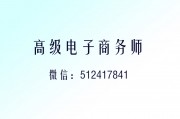 高级电子商务师业务简介20240926