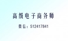 高级电子商务师业务简介20240926